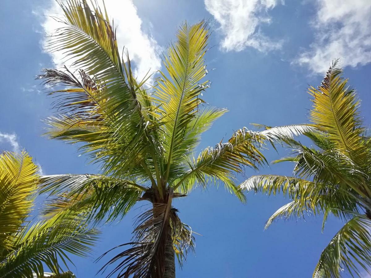 Hotel Green 16 Cancún Eksteriør billede